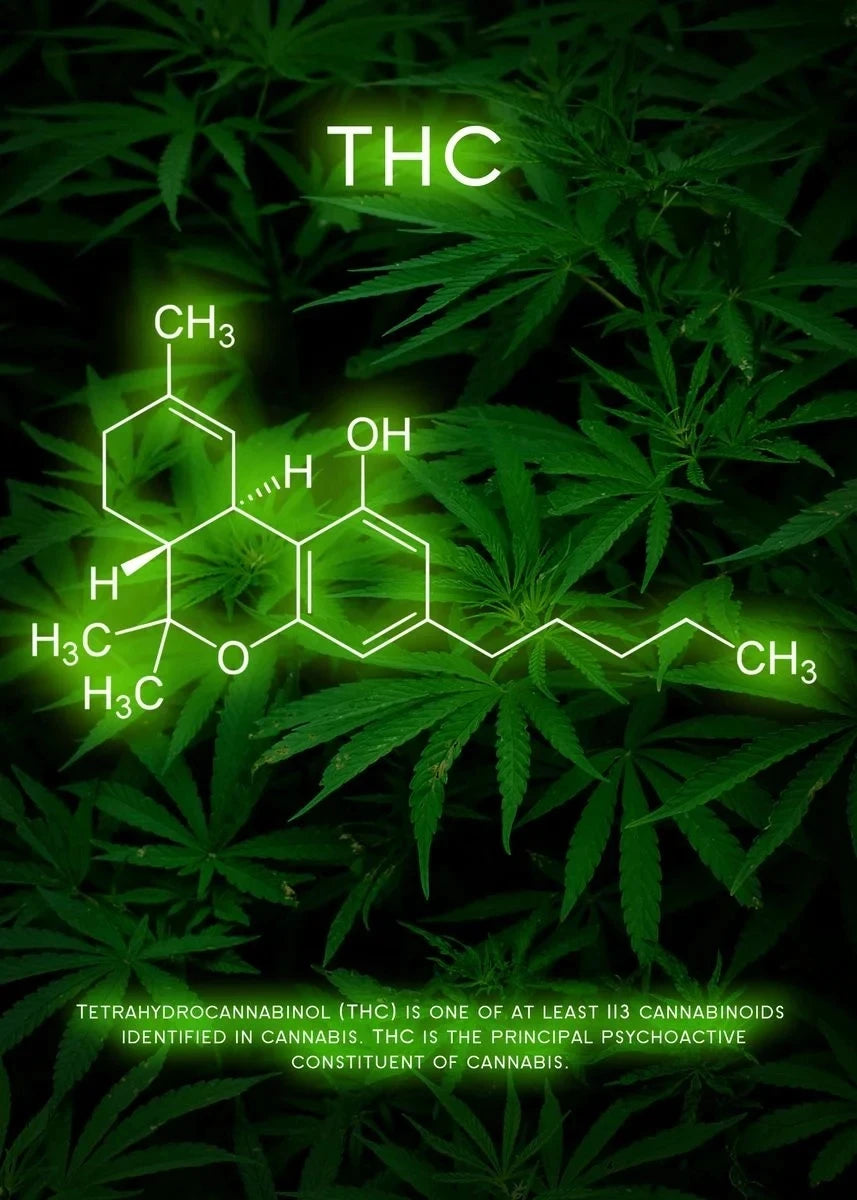 World’s Best Molecules!! Chemical Formula Drug Molecules Waterproof Wall Art. Any Size  - 1 price.
