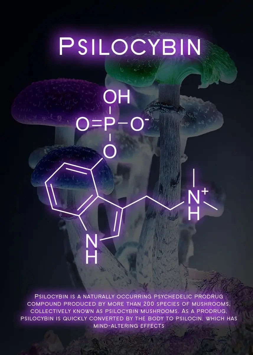 World’s Best Molecules!! Chemical Formula Drug Molecules Waterproof Wall Art. Any Size  - 1 price.