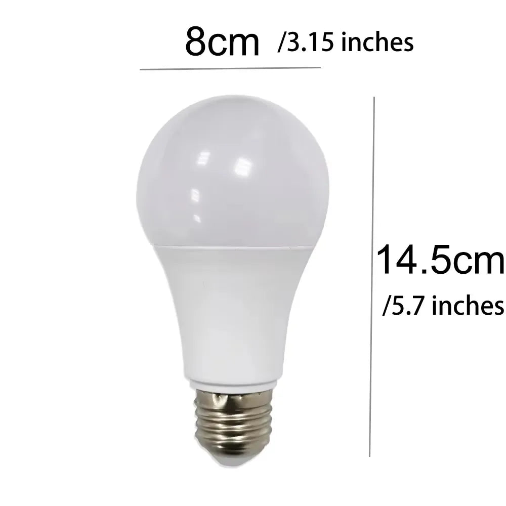 Sight Secret Light Bulb Stash Spot