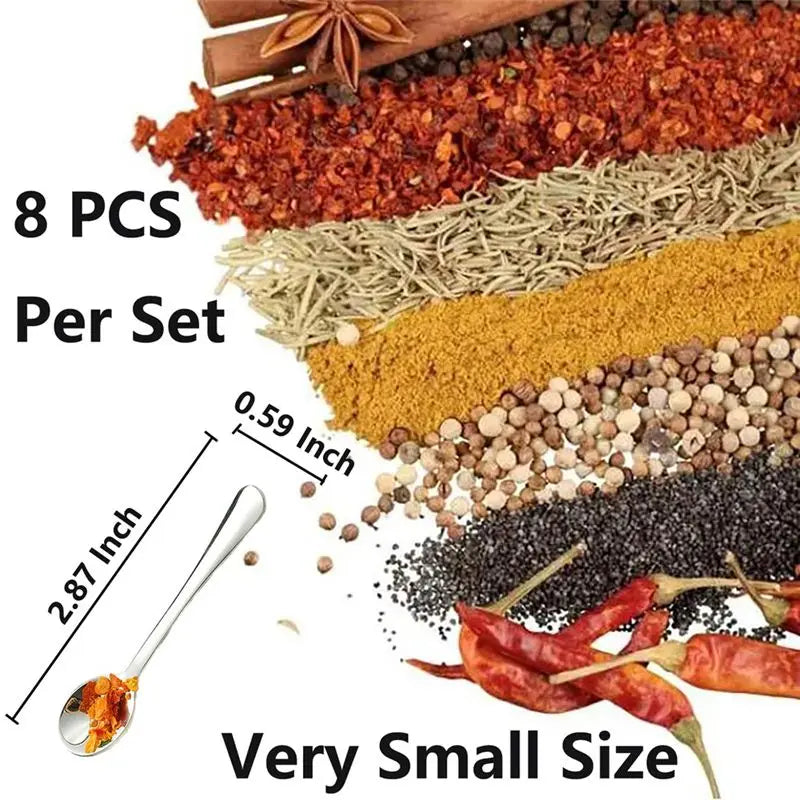 10 Piece Tiny Stainless Steel Spoons For “Spices”.